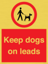 dogs-on-lead-symbol-with-black-text-on-white-background~